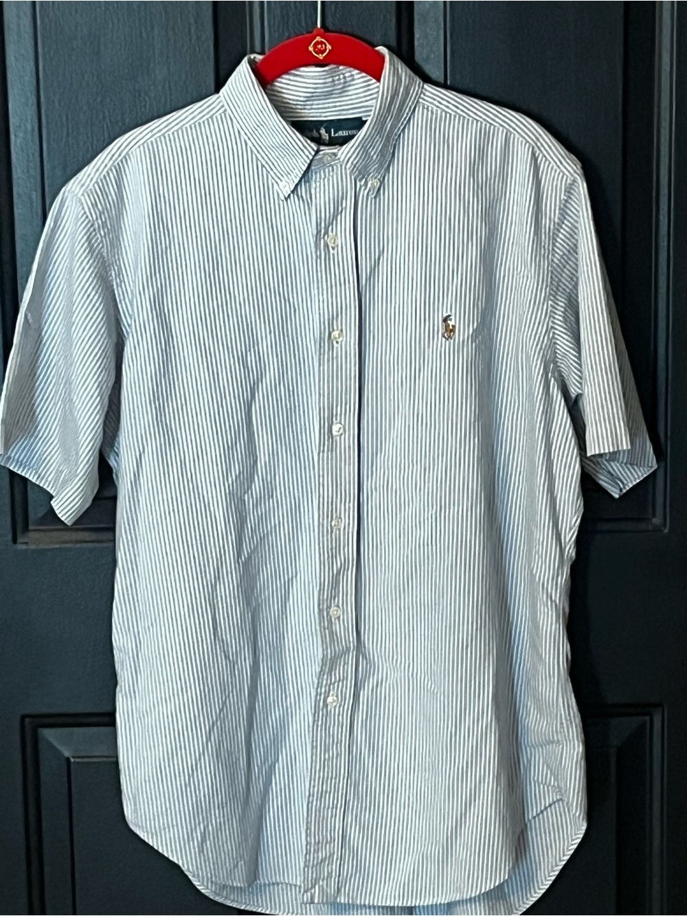 Polo by Ralph Lauren Blue and White Striped Short Sleeve Button-Down Shirt